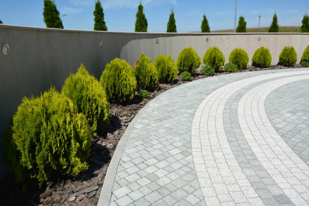 Best Cobblestone Driveway Pavers  in Blissfield, MI