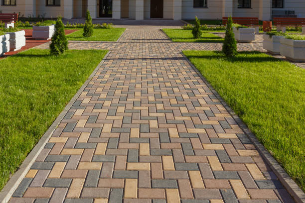 Best Driveway Paving Contractor  in Blissfield, MI